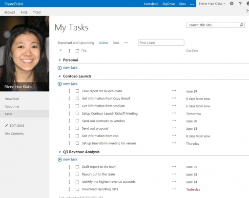 How to change Sharepoint 2013 theme on MySite?